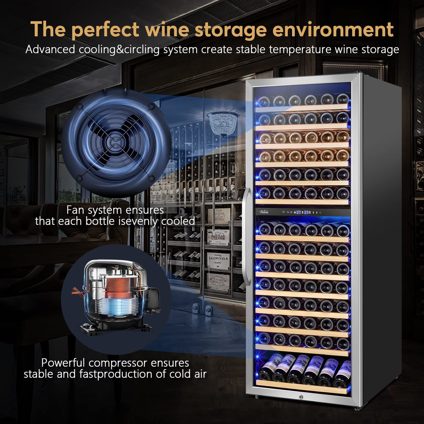 Velieta 24 Inch Dual Zone Wine Cooler Refrigerator